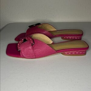 Donald J. Pliner Pink Buckle Mules